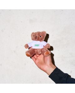 Teddy bear University of Twente